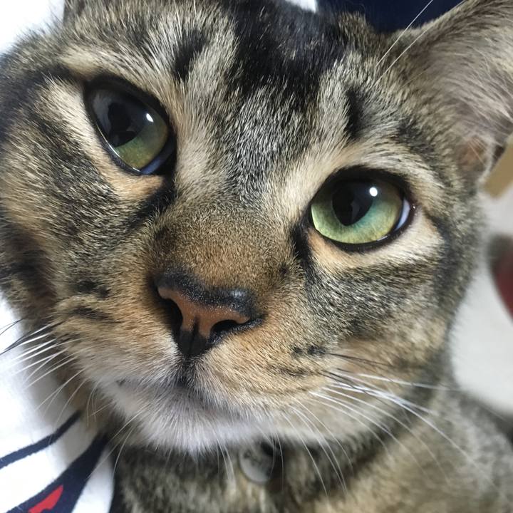 9efdb304 5282 456d 9fb5 cf37b5a77d5f