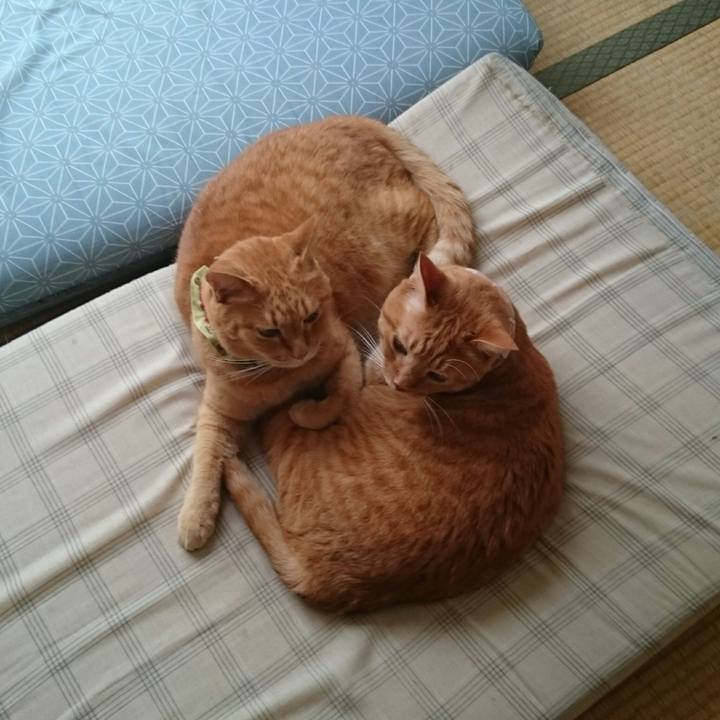 9efdf299 f607 4cb2 bc46 5525595f36f0