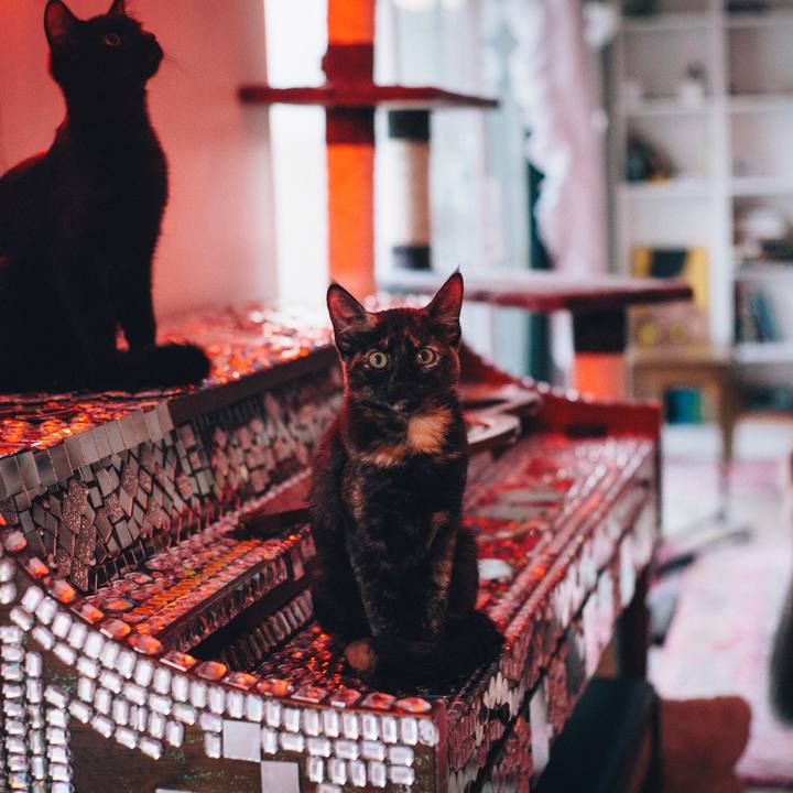 9efe3d21 5dd9 4269 b6dc cd34f8b50b5f