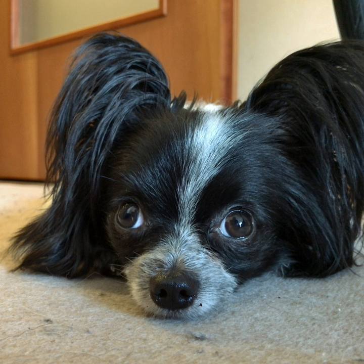 9efe9c0a e55d 4b5e a152 de2c1b4c0889