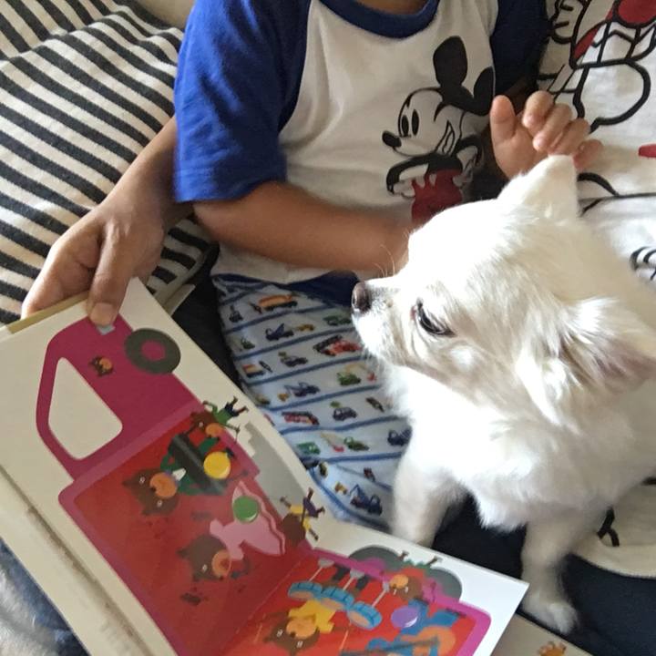 9eff8103 ab79 4eeb b2dc 5c92ebccfbfe