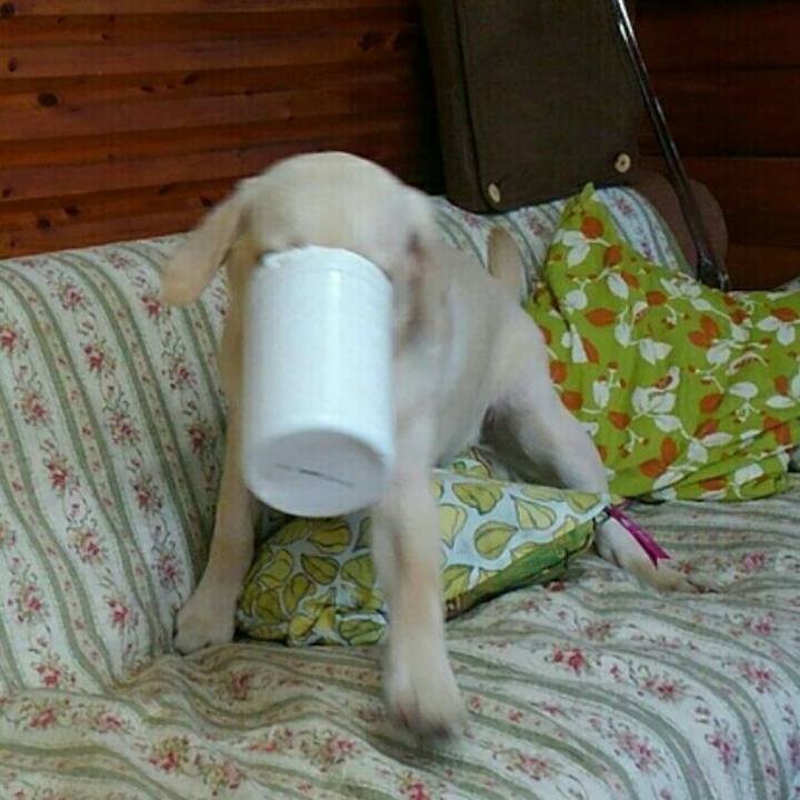 9effed48 5f9d 43fe 9055 86fef028ec7c