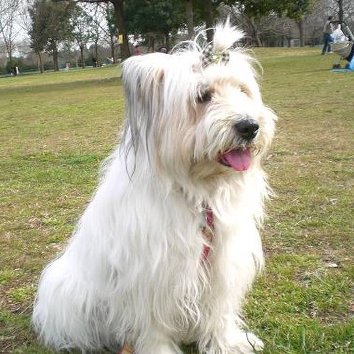 9f008f58 5042 4d03 bf2f 35cede5332e7