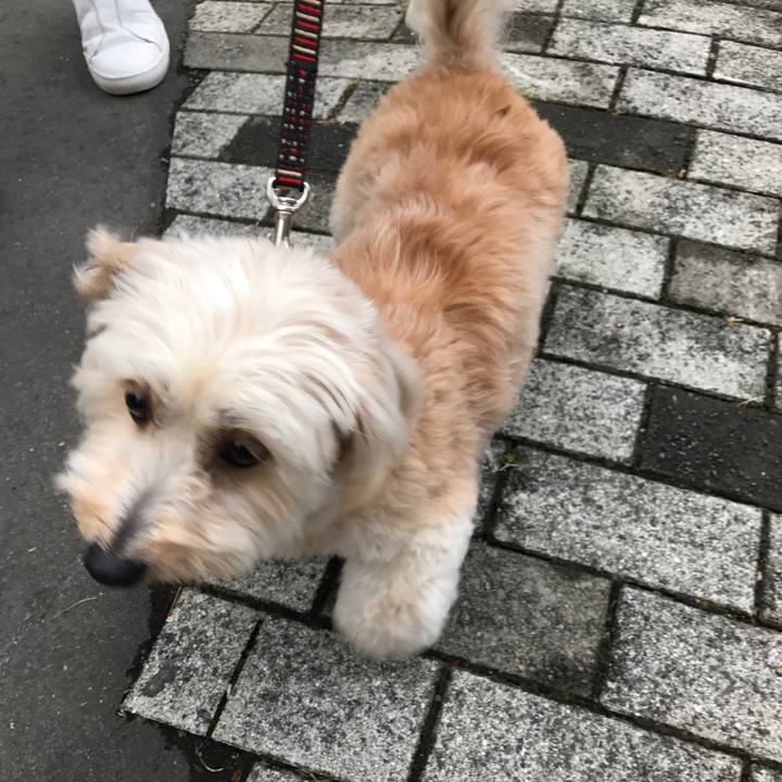 9f00ac50 bae1 4d4f b287 1669681e125c