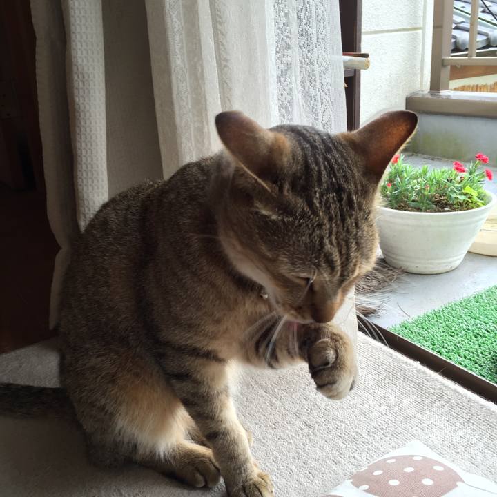 9f00bb47 cb01 4cd6 bf59 01516e04ee95