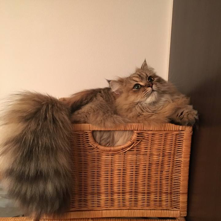 9f01515b 4ee7 4d85 9363 0adc90a3fe8b