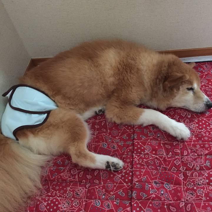 9f01ef75 6a1c 4afe 98ce c26c1bce5d3c