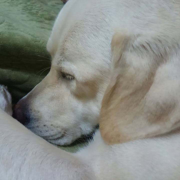 9f01f57d 0b28 4881 b9e4 d1fa6f8ee427