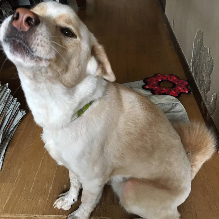 9f02b68e ee6a 4525 829c d3d5b60bcb2c