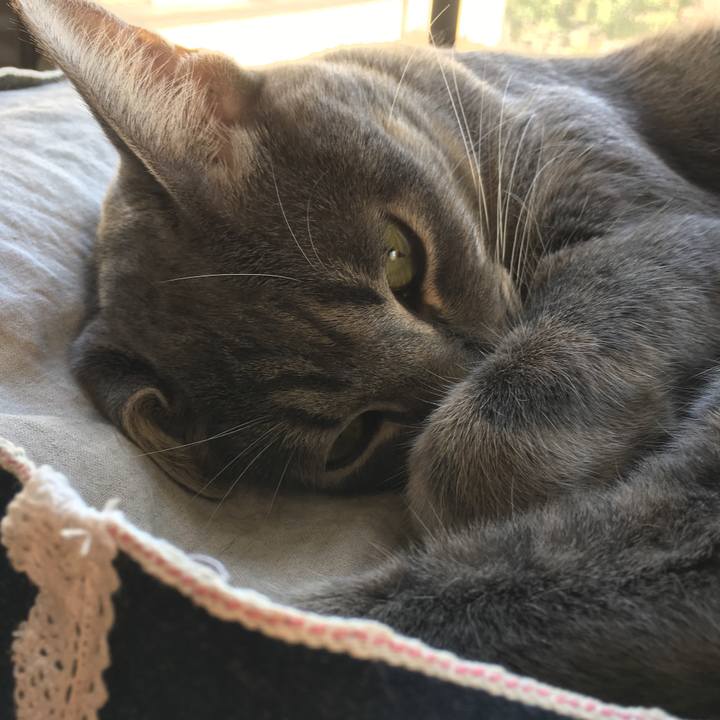 9f02f410 cb43 4056 af5b 87177b53fc78