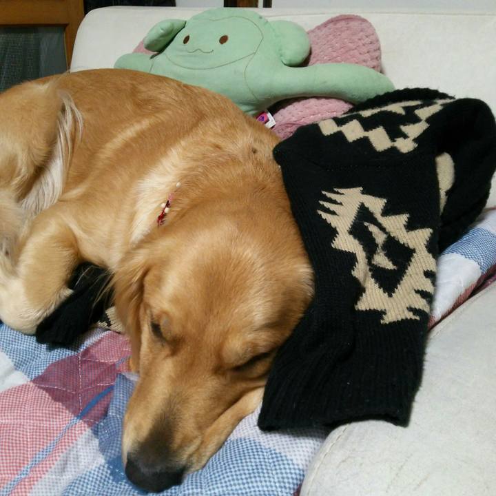 9f03705c a5a6 4dad aa39 92d48fae78e9