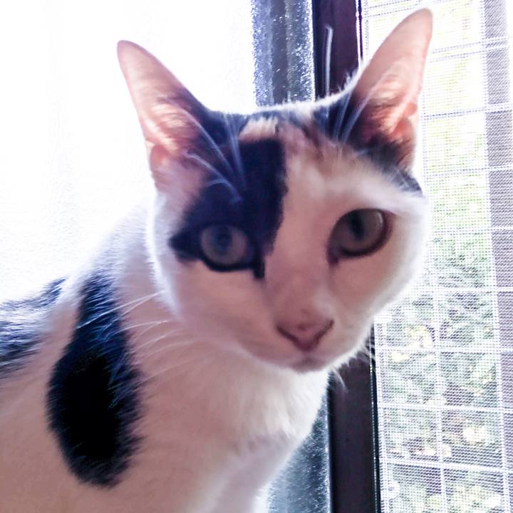 9f04c217 ea00 4aee 917d cca9d2f78732