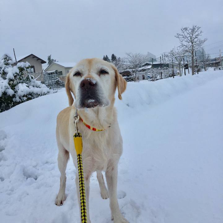 9f04cbe6 2e56 45fc b37b f4c03c84fa75