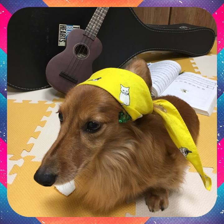 9f064430 b00c 49a2 9c8d 08f9807fca5a