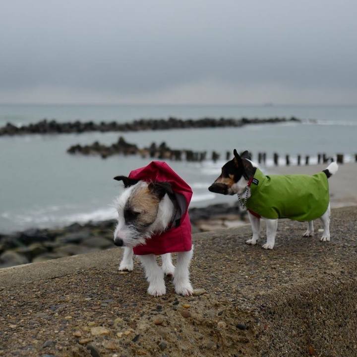 9f06f757 0463 4043 8e3f 4e32cb29c24f