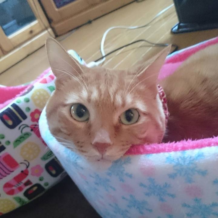 9f08ee39 01a2 49ff a8ae c8b57aa68228