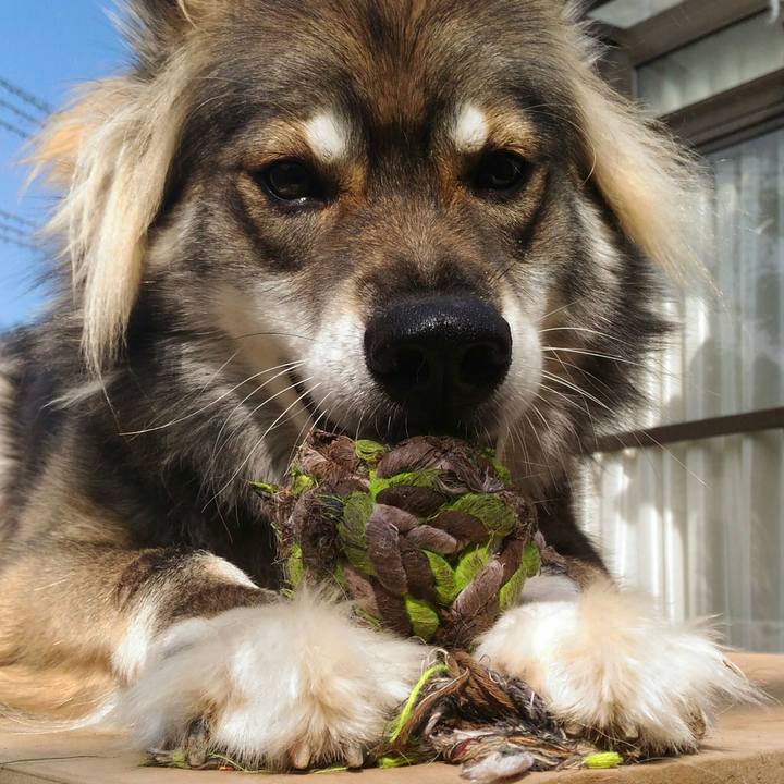 9f093dbb fe98 4727 ae28 ec776744bcf4