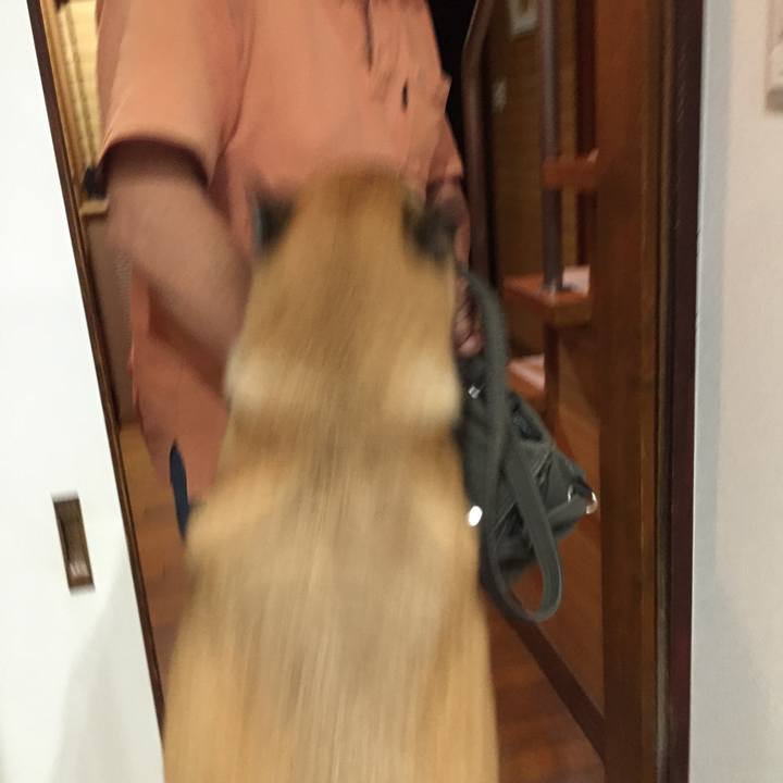 9f09856b 5aea 40e0 a59b 271a82284d89