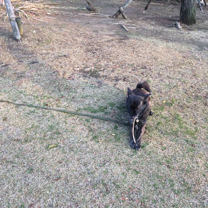 9f0a7694 fc78 4c5c 8956 143ff771e6bb