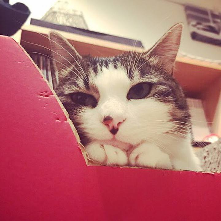 9f0a8e8a 1bb2 4545 820e e2b5590ecaee