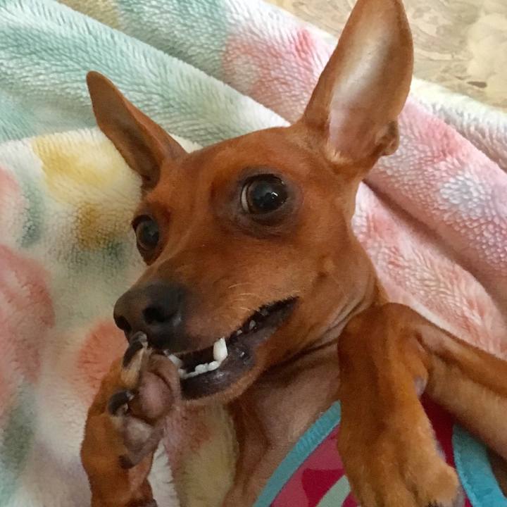 9f0aa55c e079 4604 bca1 1b9aaf7d15d8