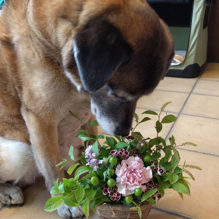 9f0af6af 9abd 4b31 ae5b a5287fdacc1d