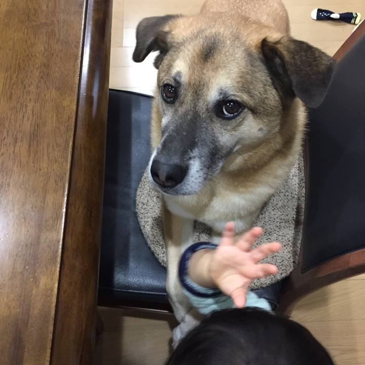 9f0b2142 e66a 42e5 83a3 37b973800eb8