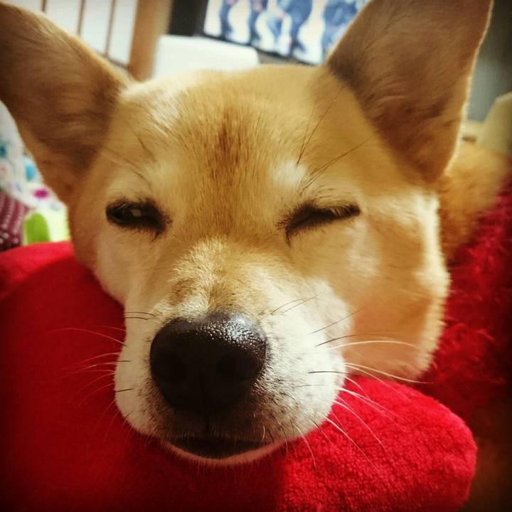 9f0b2e68 eb4b 4da7 8955 e18532bd2377