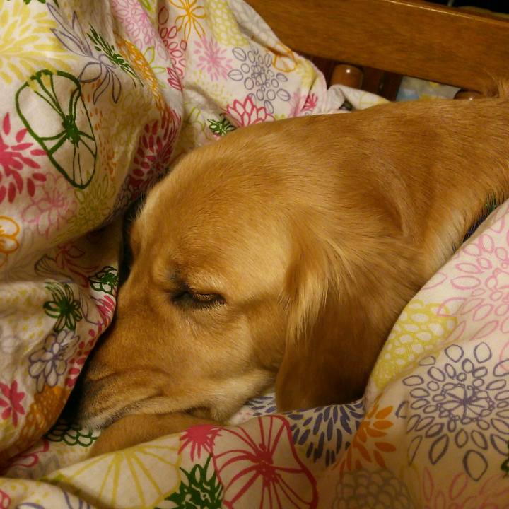 9f0b3512 6142 43b6 bc3b e1849e0e428f