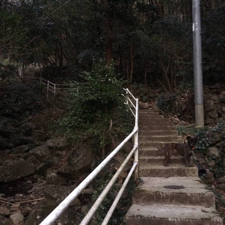 9f0b7620 3455 4e30 821b 3a47a2f3f14b