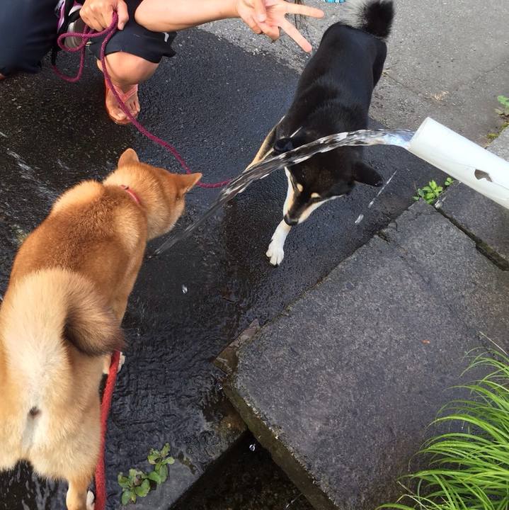 9f0b7921 f7af 4df8 8166 213014682c58