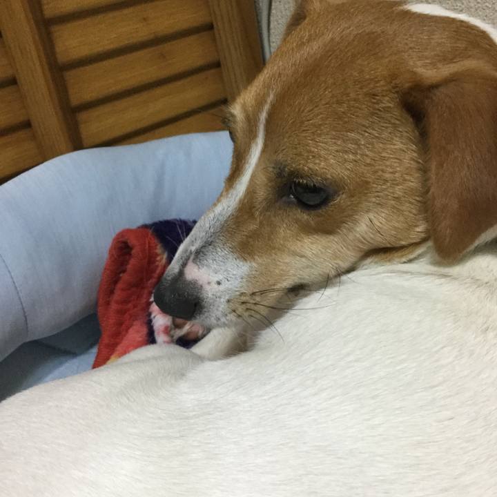 9f0bb61f 9249 420d 8677 0482cbf35bf1