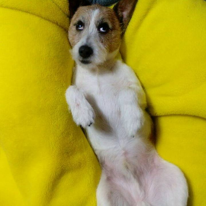 9f0bf237 1e68 4864 aafc 897431e782a7