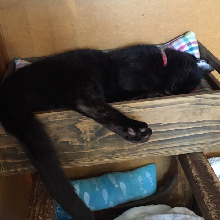 9f0c2102 e699 4eed b87b 5ede7cb0c090