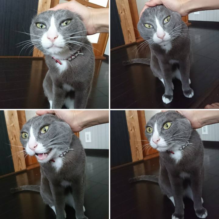 9f0c9bc6 e2f5 45dc 807a 69306f0e60ef