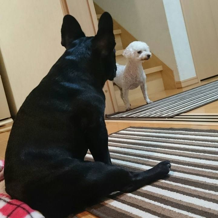 9f0cd27a 3247 480c a363 4be7402803a7