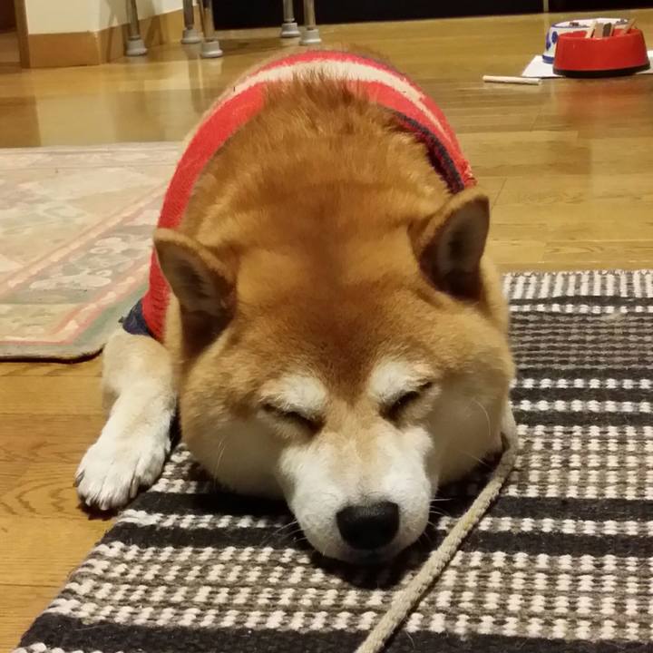 9f0cd700 4cbc 47fb 810c edcd03cd5080