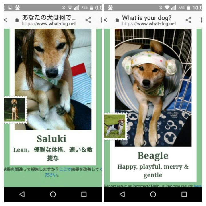 9f0d191a 09e7 4f93 9eed eb31c815c025