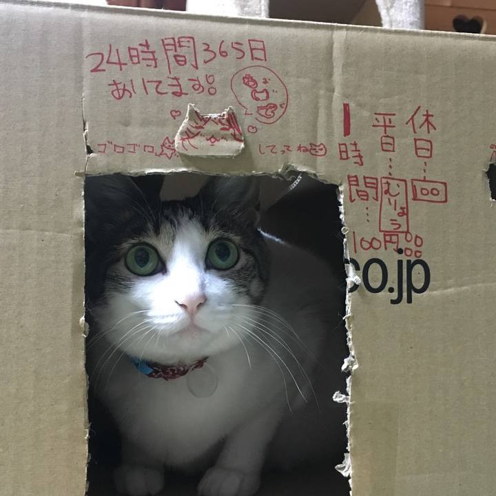 9f0e08ca fab2 466a 81bd a0728395e16b