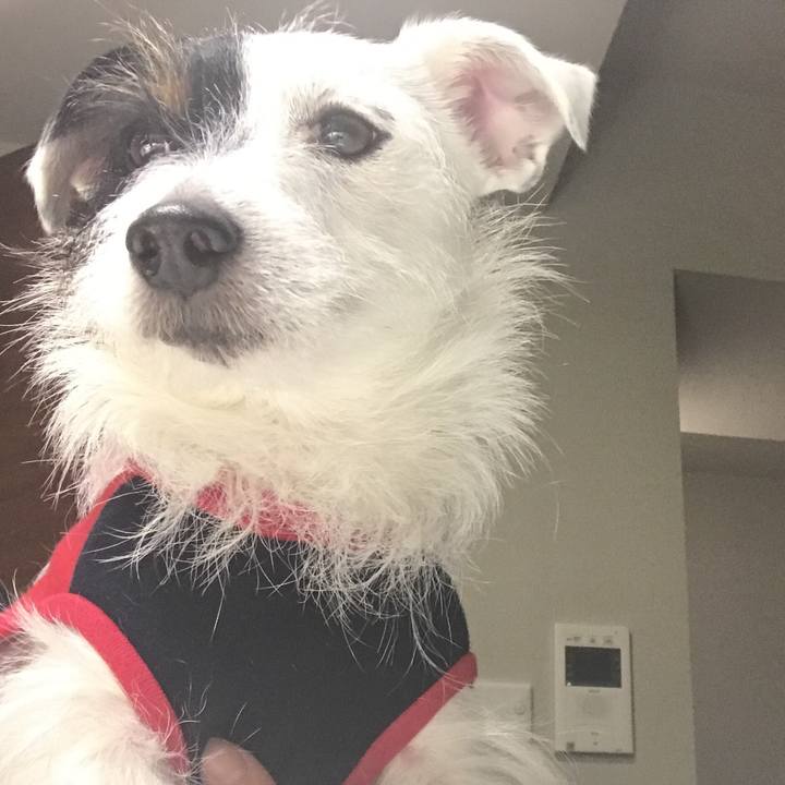 9f0e10d7 e91a 4cfa a057 6de80408f3d3