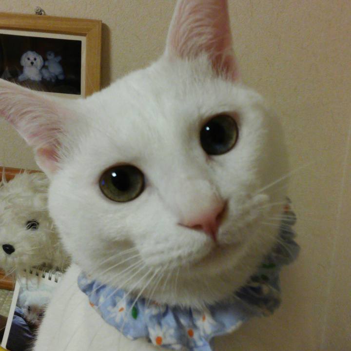 9f0ea996 cce9 407b 8c14 9d97a01169a6