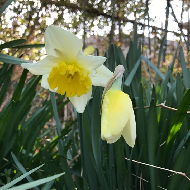 9f0edb2a fc03 463b b4df 584e8081c36d