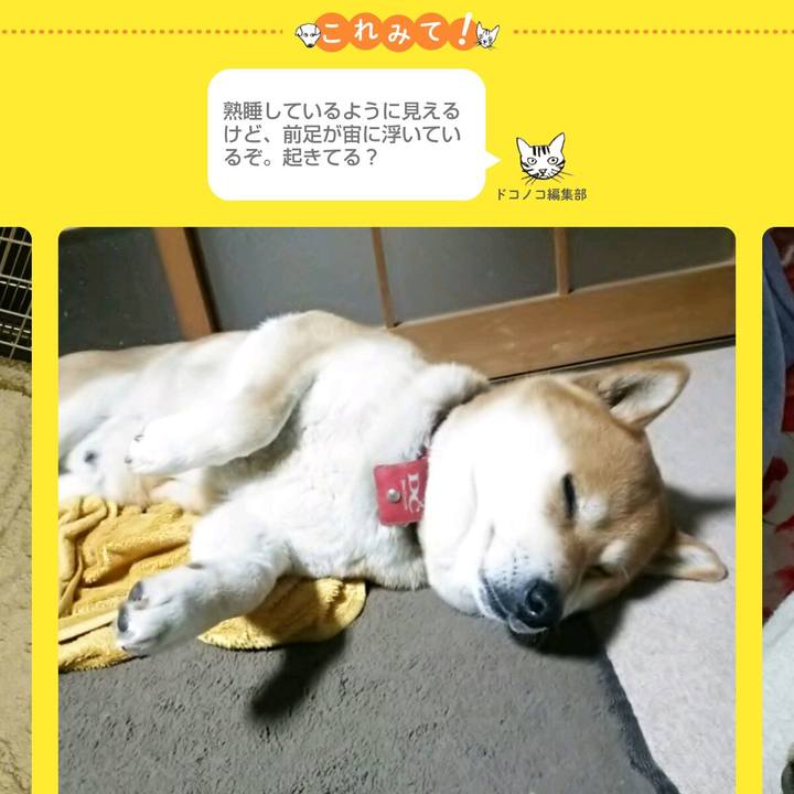 9f0f080f 086d 49c8 866e cab325305da1