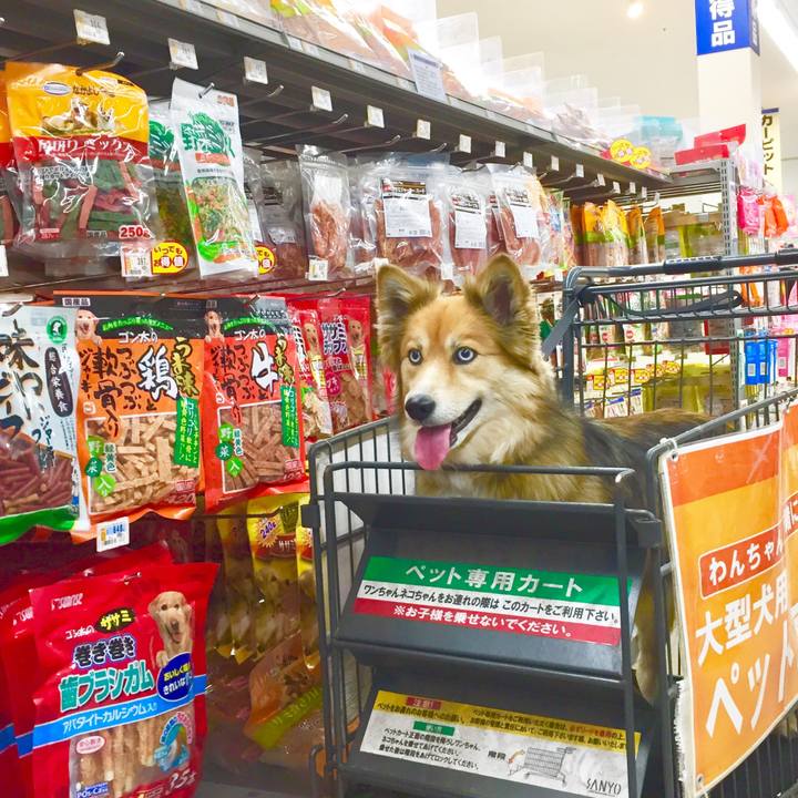 9f100552 2f36 4d49 a092 7c36777c2876