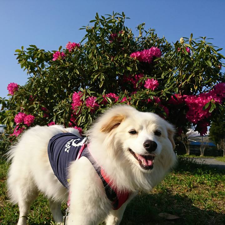 9f10114e b03a 4694 b119 3ad5d20dabd2