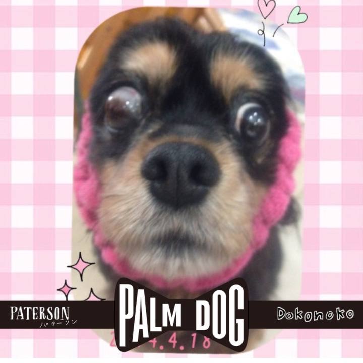 9f102e67 1c9f 4d69 b0a6 1eb52cdbe9d2