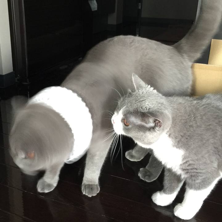 9f109de1 3b38 4049 ba70 35da98a452be