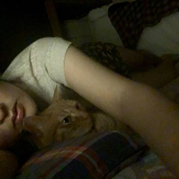 9f10c76a 9e75 4845 9575 30ad70906785