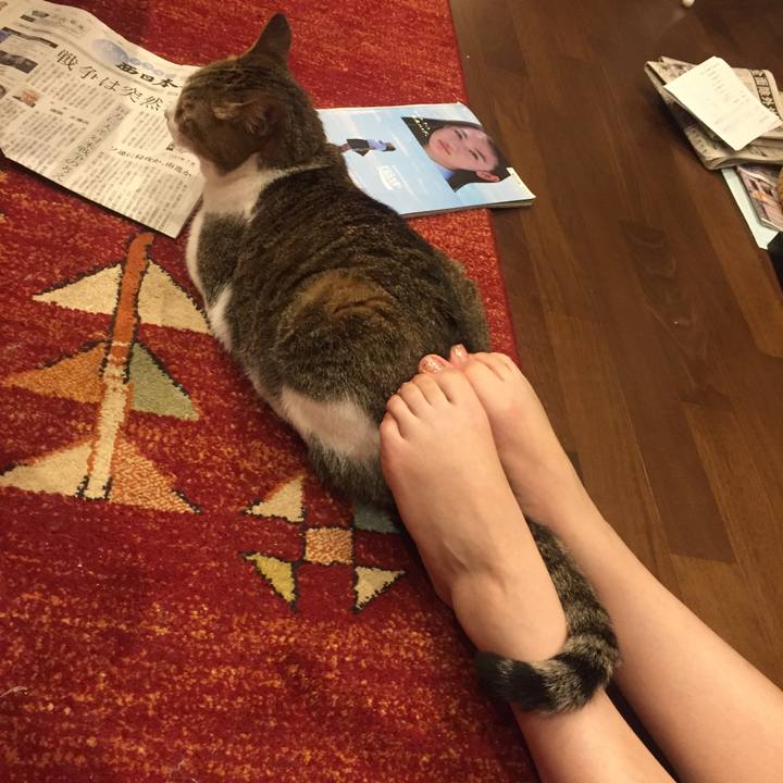 9f10d328 14f4 4f6d 9db4 63cd0b82c2df