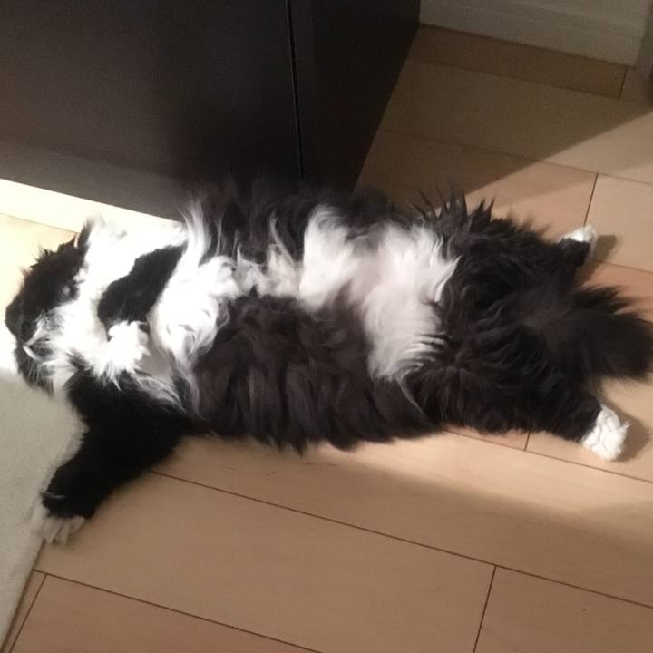 9f11dcf2 884c 4a57 912c 1793d0c6b308